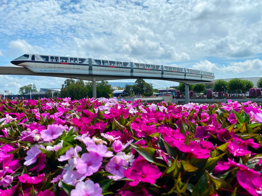 Memorial Day Weekend 2022 at Walt Disney World