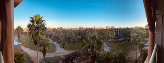 Holiday Trip With a View to Animal Kingdom Lodge